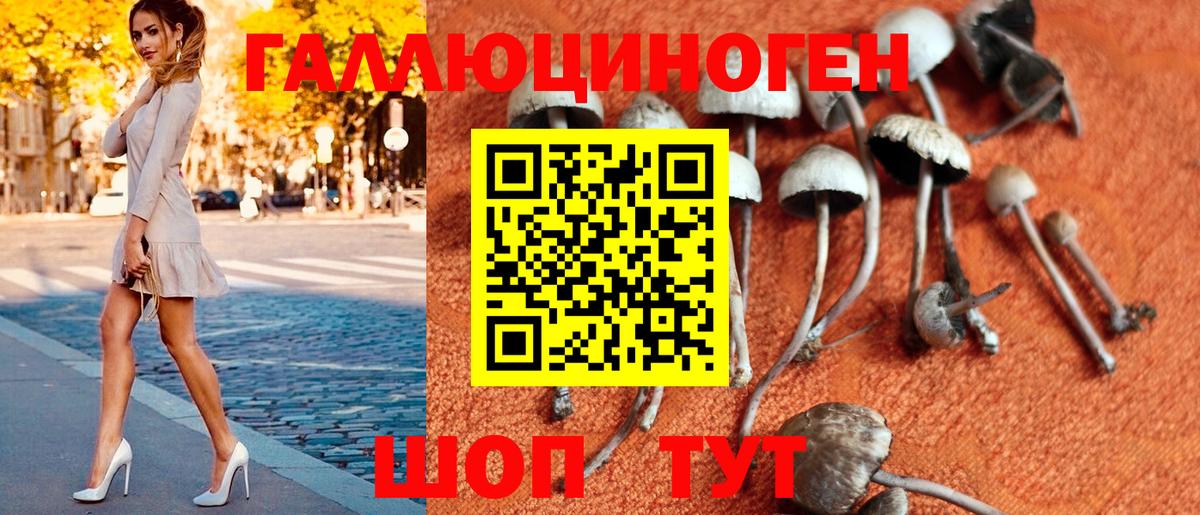 наркотики  Галлюциногенные грибы Psilocybine cubensis  Вход с VPN  Коркино  Псилоцибиновые грибы Psilocybine cubensis 