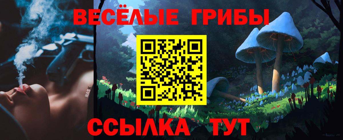 Галлюциногенные грибы мицелий Коркино