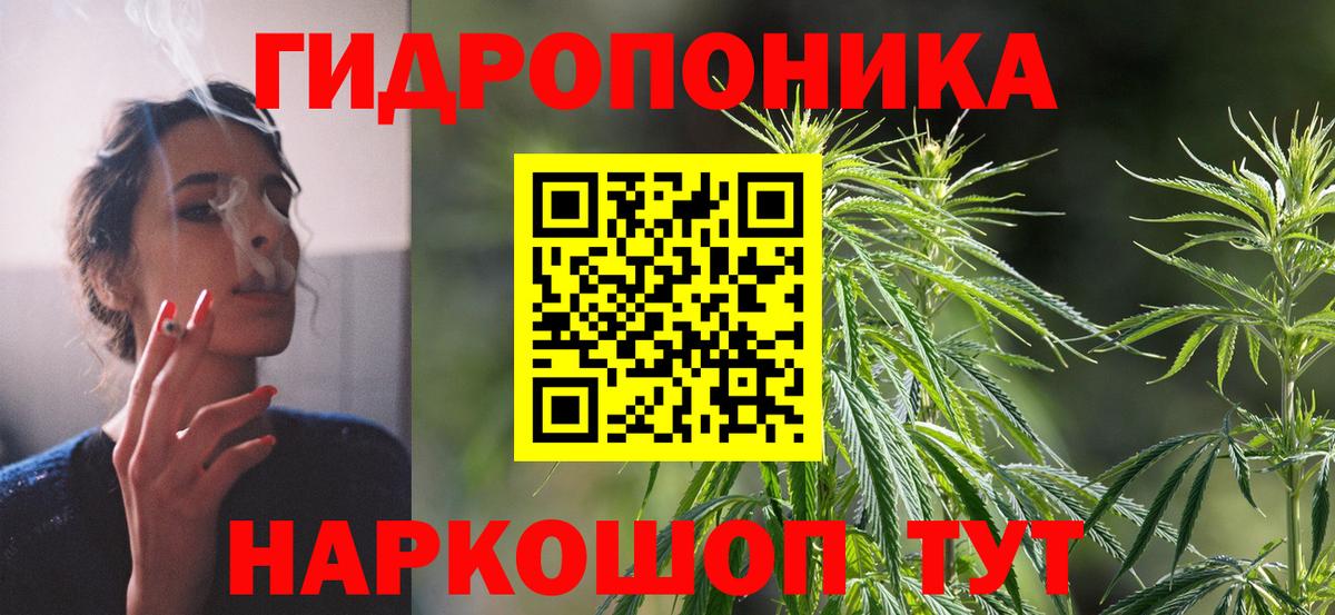 Конопля LSD WEED  Шишки марихуана сатива  Марихуана MAZAR  Коркино  Вход с VPN 